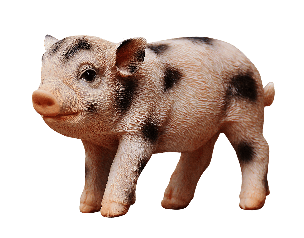 Bóndabær